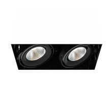 Eurofase TE222LED-35-4-01 - MuLT, 26w, Trmls, 2LT , 35k, Blk