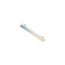 Dals DCP-LNR48-WH - DCP Recessed linear 48" RGB + 5CCT