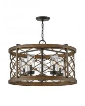 Hinkley 12395OZ - Hinkley Lighting Finn Series 12395OZ Pendant/Chandelier